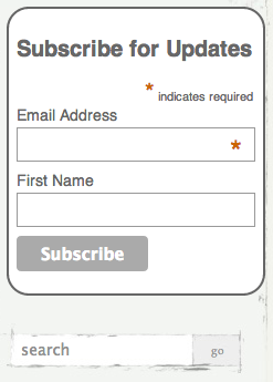 Email subscription form example